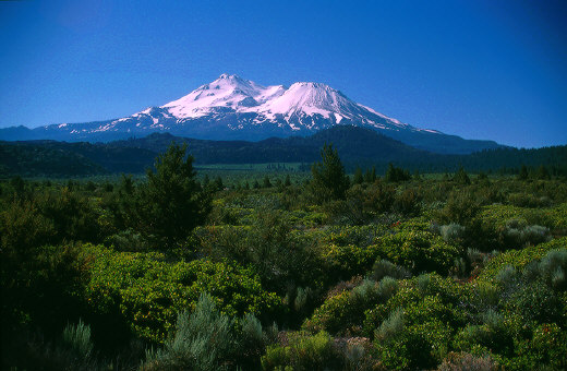 Mount Shasta