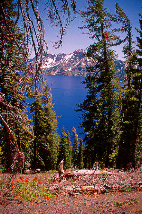 View from the slope of Cinder Cone