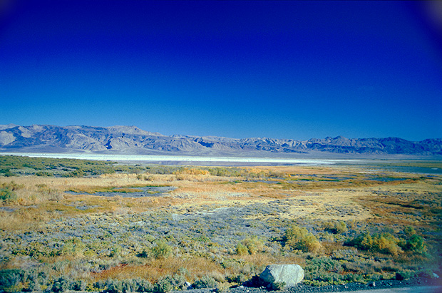 Saline Marsh in Saline Valley