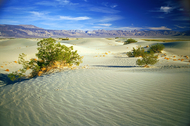 Saline Valley Dunes