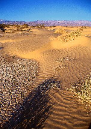 Death Valley Dunes