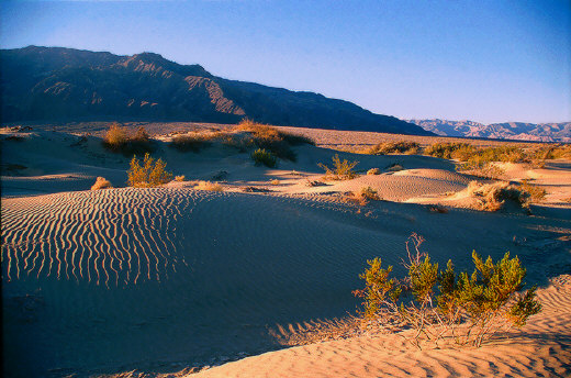 Death Valley Dunes