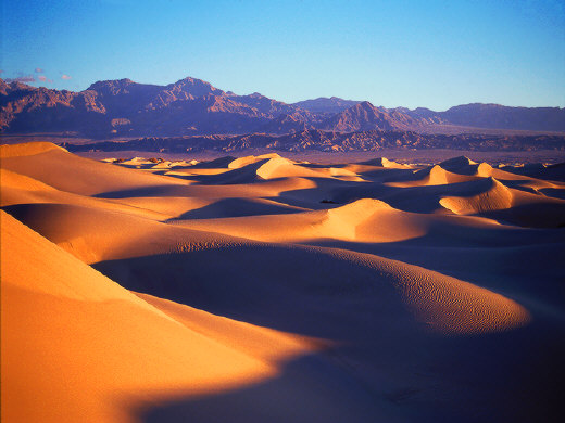 Death Valley Dunes at dawn