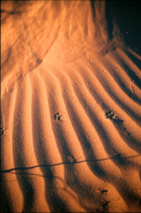 Death Valley Dunes - Intersection