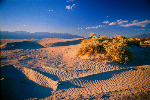 Death Valley Dunes