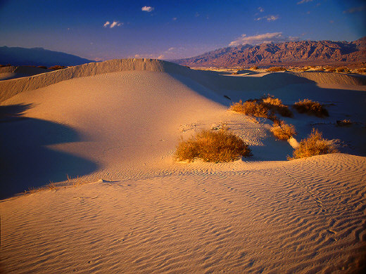 Death Valley Dunes