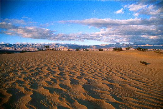 Death Valley Dunes - Sand waves