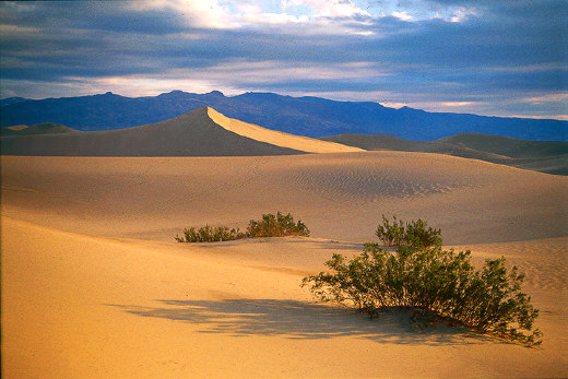 Death Valley Dunes