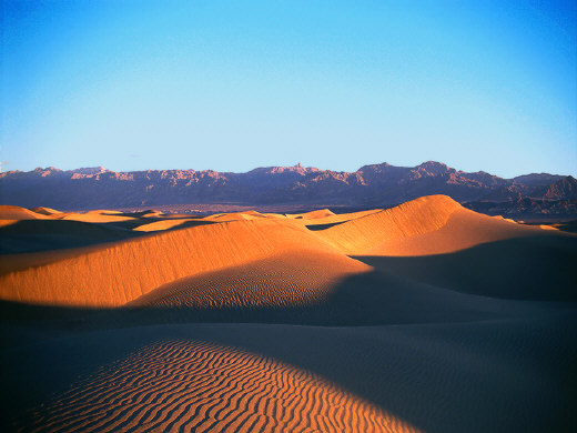 Death Valley Dunes at dawn