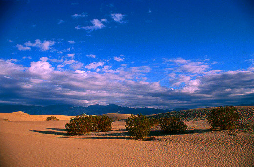 Death Valley Dunes