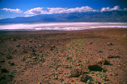 View of Badwater Basin from Artists Drive