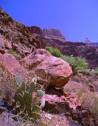 The bottom of the Canyon