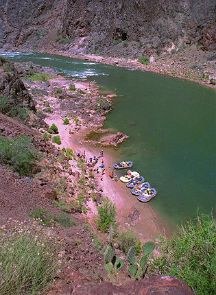 Whitewater rafting in the Canyon