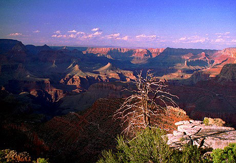 The Shades of the Canyon