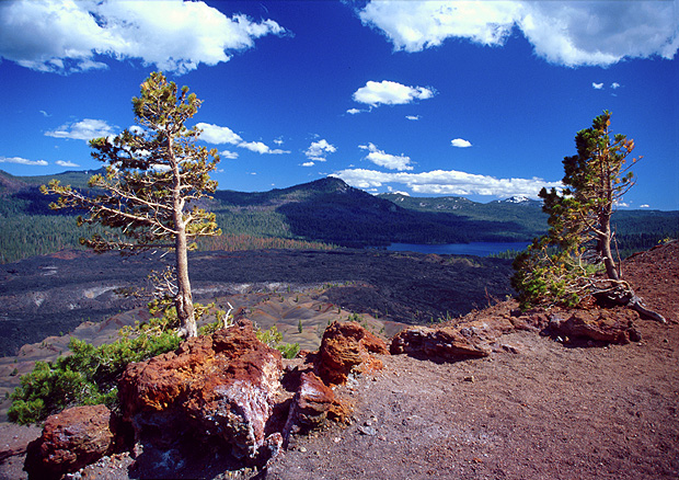 Trees on the rim of crater of the Cinder Cone