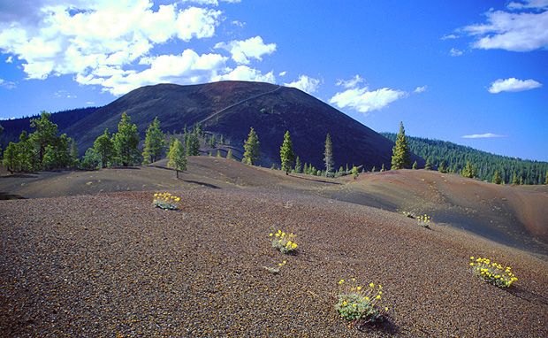 Painted Dunes and Cinder Cone