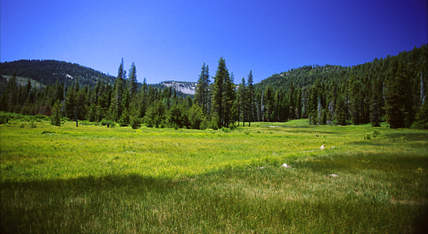 Hot Springs Creek Meadows