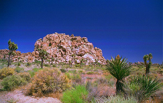 Rocky formations