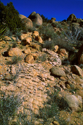 Natural cobblestone path