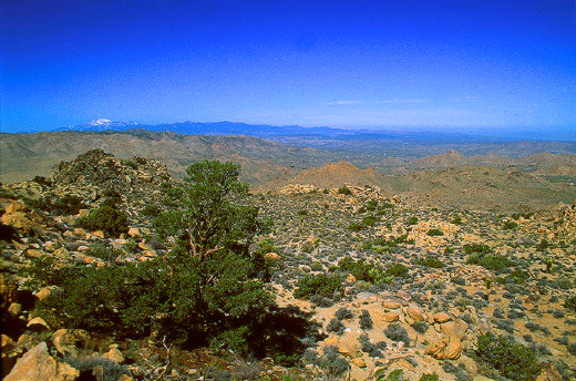 View of the Yucca Valley, Morongo Valley