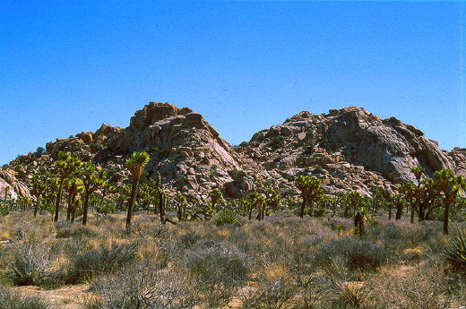 Rocky formations