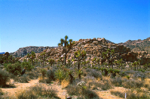 Rocky formations