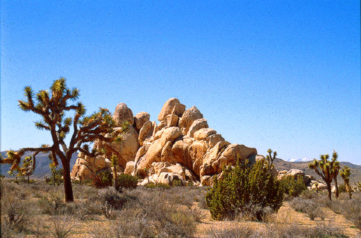 Rocky formations