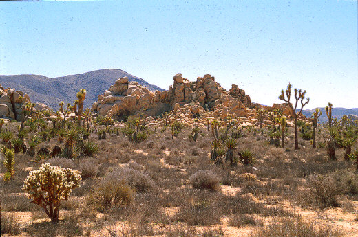 Rocky formations