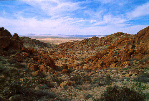 Rocky Landscape