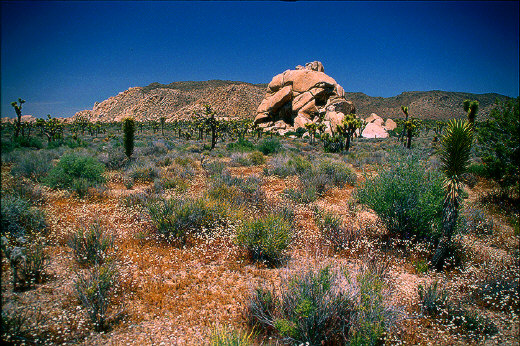 Rocky formations