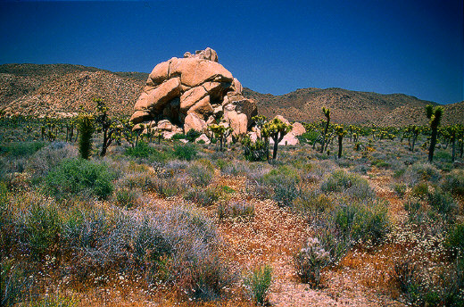 Rocky formations