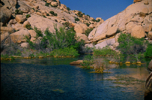 Barker Dam