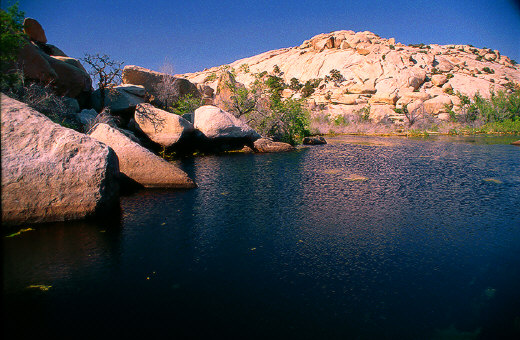 Barker Dam