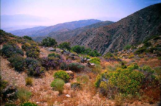 Coachella Valley from Keys View